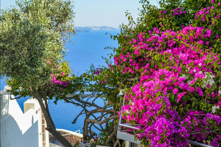 Santorini: Private Island Highlights Tour with Driver 3-Hours Private Tour