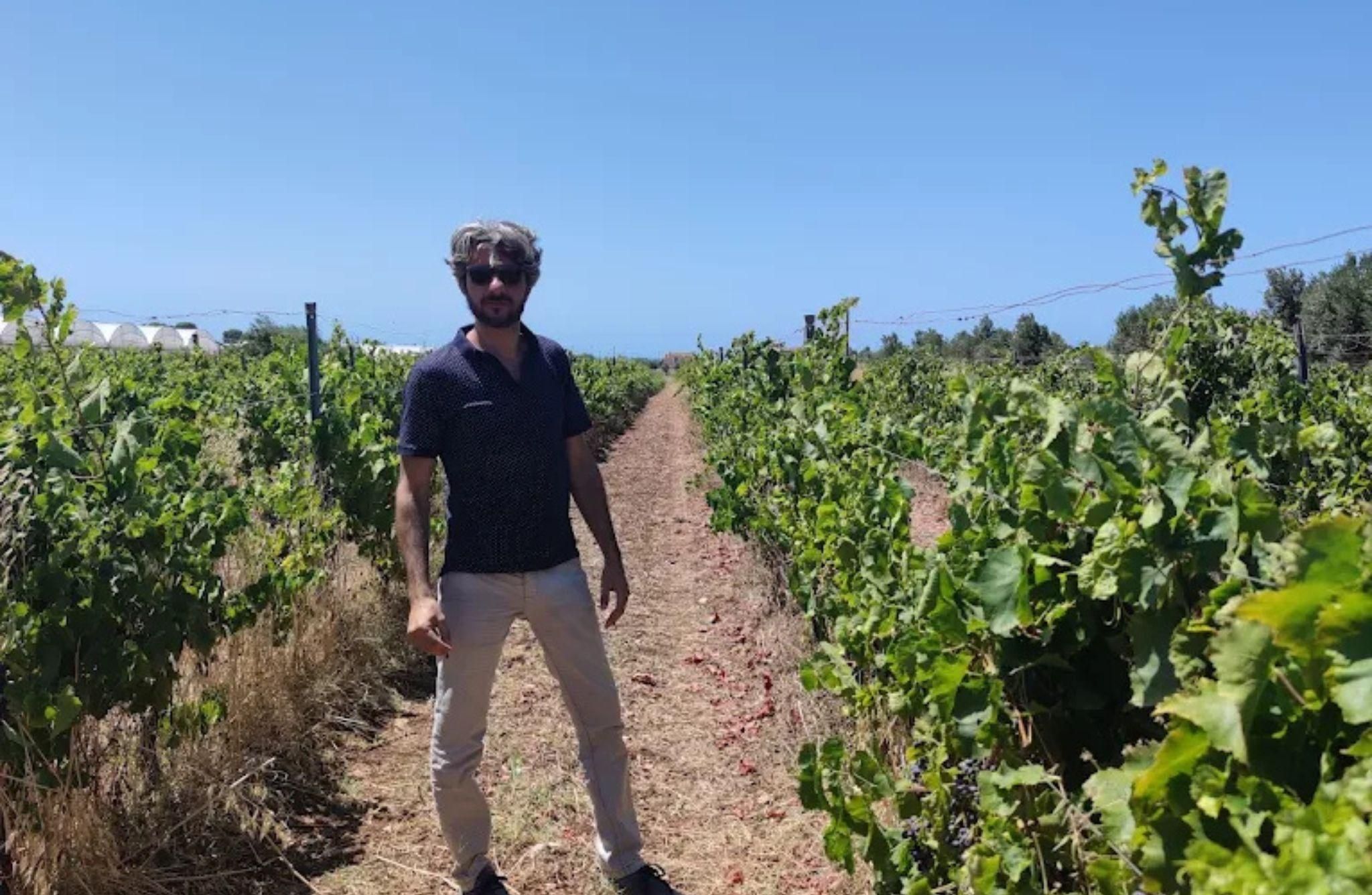 Weingut-Tour und Wein- & Lebensmittelverkostung in der Nähe von Ragusa