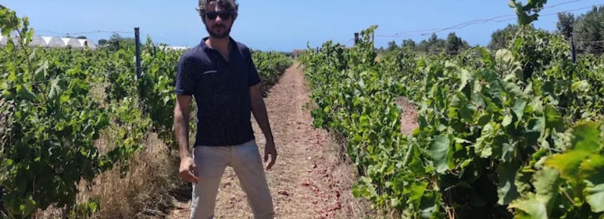 Scicli : visite du domaine et dégustation de vins et de produits locaux