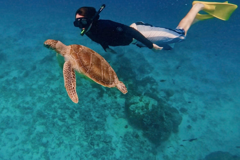 Private Snorkeling in Gili Trawangan, meno & air with goopro Option 1:Private Snorkeling in Gili T,meno & air with goopro