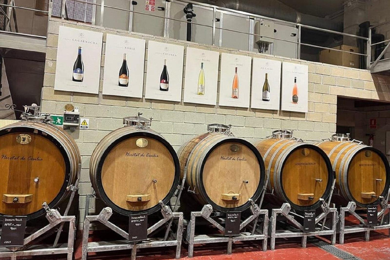 Alicante: Wine tasting tour with transfer