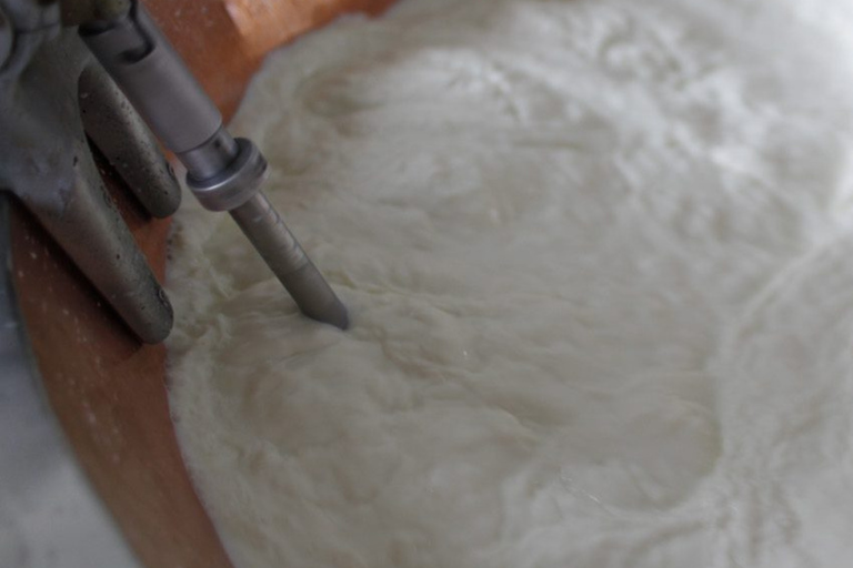 From Milk to Wheels: Parmesan Tour & Tasting in Parma Parmesan Tour in Parma - German
