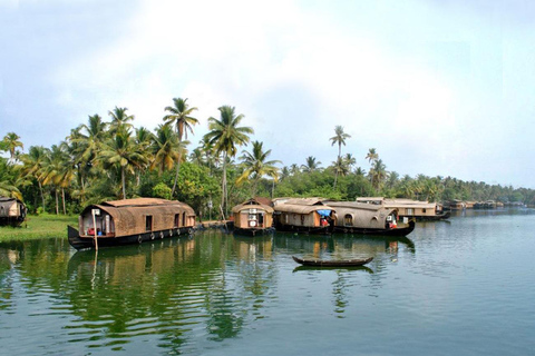 Alleppey Backwaters Delight: privé dagtrip met een woonbootAlleppey Backwaters Delight: privé-dagtrip met een woonboot
