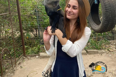 Zanzibar: Swim with Turtles at Baraka Aquarium and Zoo Park