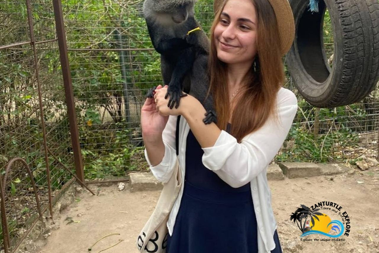 Zanzibar: Swim with Turtles at Baraka Aquarium and Zoo Park