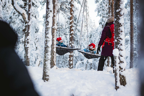 Levi：Arcandia，精灵法庭/日光和公园/黑暗精灵法庭：3 小时体验和公园之旅