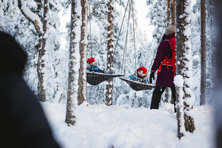 Levi：Arcandia，精灵法庭/日光和公园/黑暗精灵法庭：3 小时体验和公园之旅