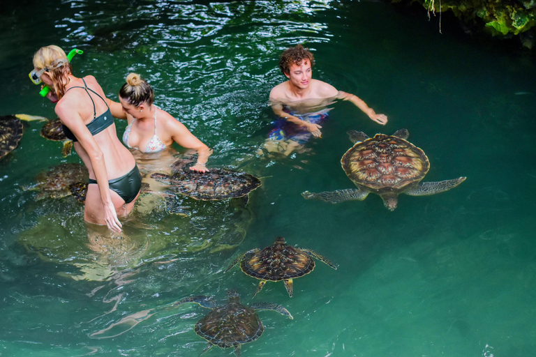 Baraka Aquriuam Nungwi excursión de medio día Zanzíbar