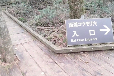 Haunted Hospital for Bravest Ghost Hunters & Silent Forest