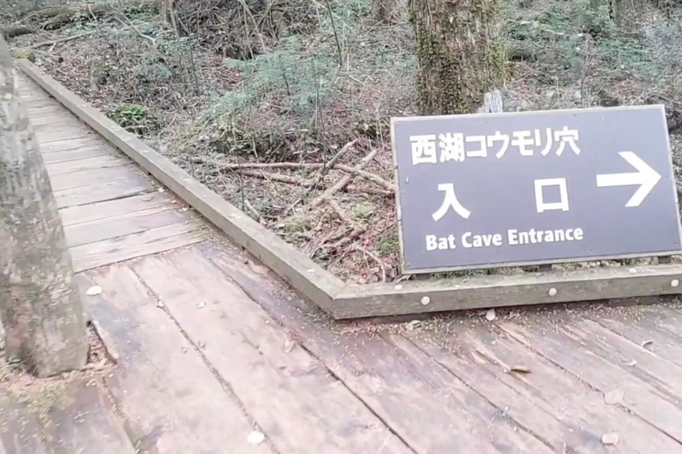 Haunted Hospital for Bravest Ghost Hunters & Silent Forest