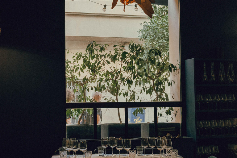 Wine Tasting with Professional Sommelier in centre Valencia