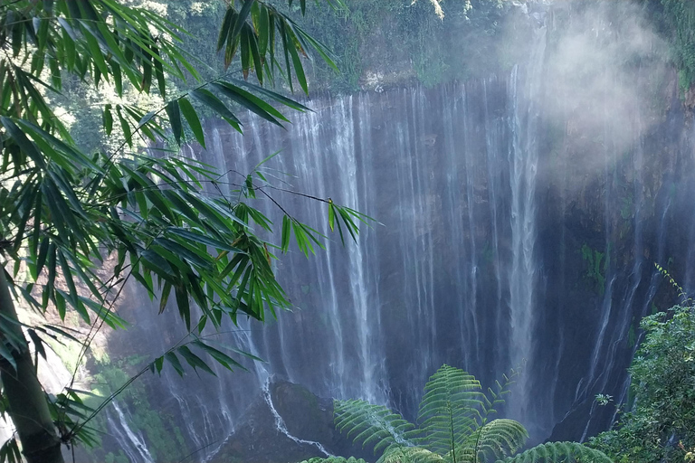 Bali: Ijen, Waterfalls, and Bromo 4-Day Tour PRIVATE: Finish YOGYAKARTA - All Inclusive