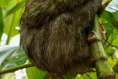 La Fortuna: Vandringstur för sengångare