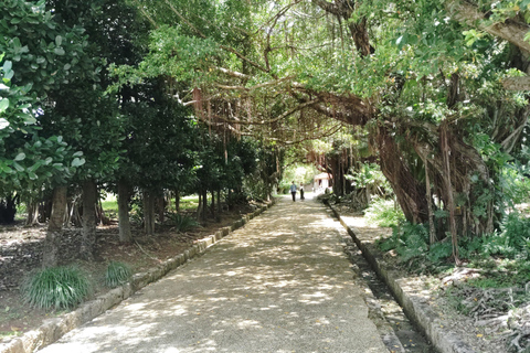 Naha: Shurijo Castle & Tamaudun Guided Walking Tour Morning visit