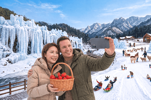 Eobi Valley, Sledding, Strawberry Picking, and Sheep Ranch Group Tour, meet at Hongik University Station