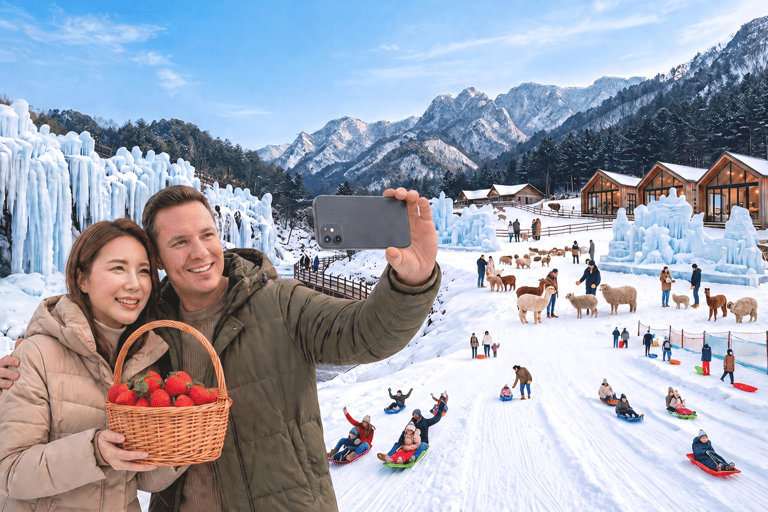 Eobi Valley, Sledding, Strawberry Picking, and Sheep Ranch Group Tour, meet at Hongik University Station