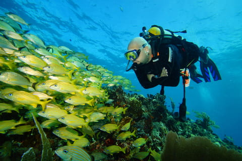 CANCUN: FIRST TIME DIVERS CANCUN
