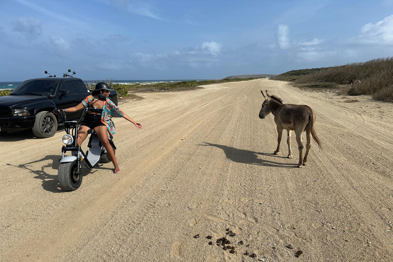 Aruba: Electric Scooter Tour with Beach Stops
