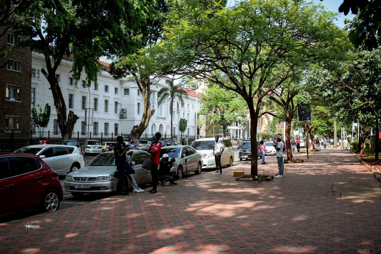 Nairobi: hoogtepunten van de stad, Uhuru Park en KICC-daktour