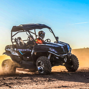Marrakech: Palm Grove and Desert Buggy excursion