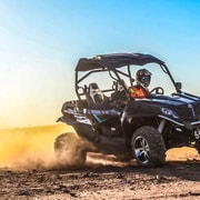 Marrakech Buggy Excursion Palm Grove and Palm Grove Desert