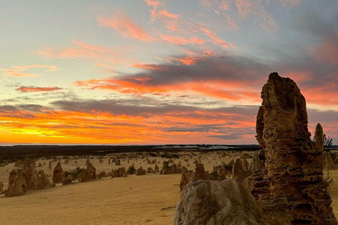 Perth: Pinnacles Desert, Yanchep & Lancelin Private Tour