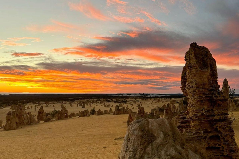 Perth: Pinnacles Desert, Yanchep & Lancelin Private Tour