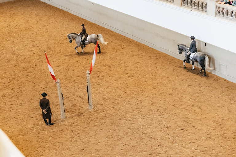 Vienna: Spanish Riding School Training