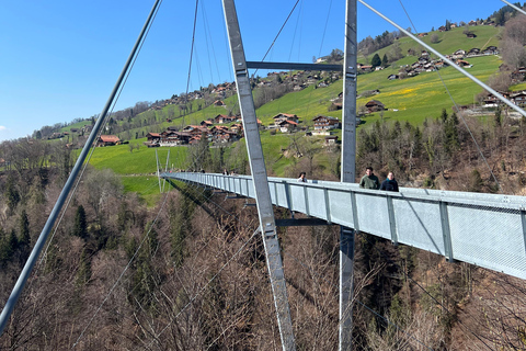 Het beste van Zwitserland Berner Oberland dagtrip met kabelbaan