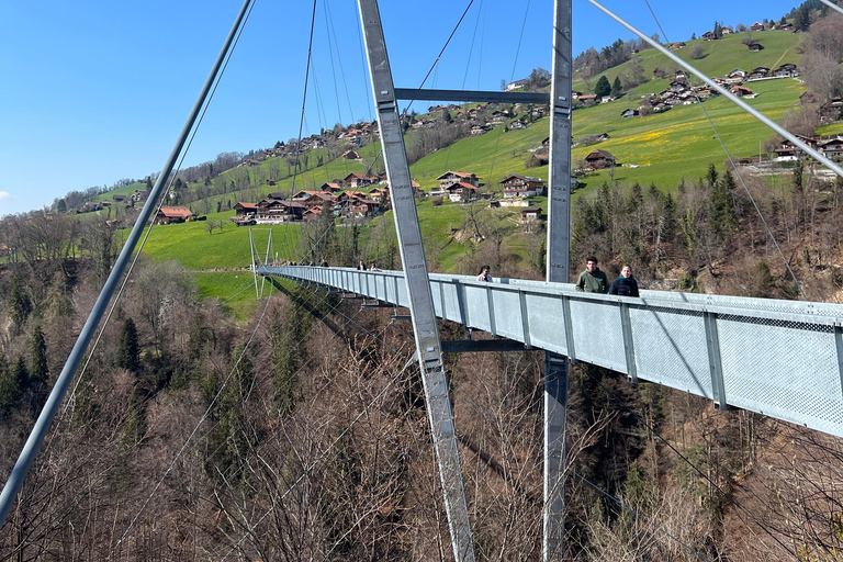 Best of Switzerland Berner Oberland Tagestour mit Seilbahn