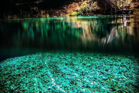 Uxmal and amazing cenotes guided tour with lunch from Mérida