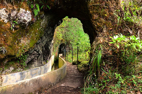 Ribeiro Frio to Portela: Self Guided Hike w/ Transfers