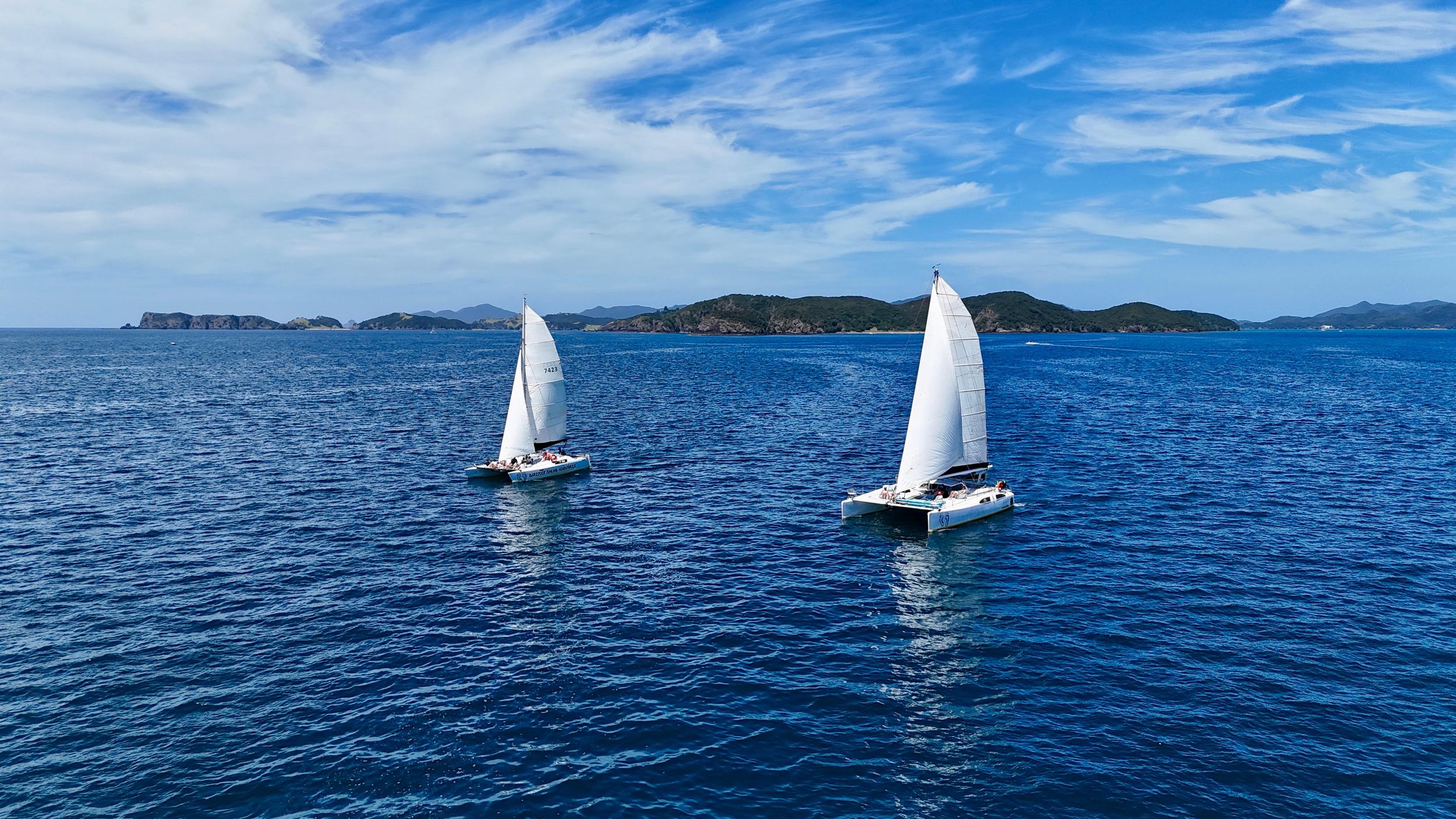 Bay of Islands: Katamaran, Wildtierinsel & Lunch