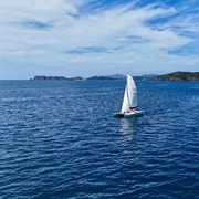 Full-Day Catamaran Sail to Wildlife Sanctuary Bay of Islands