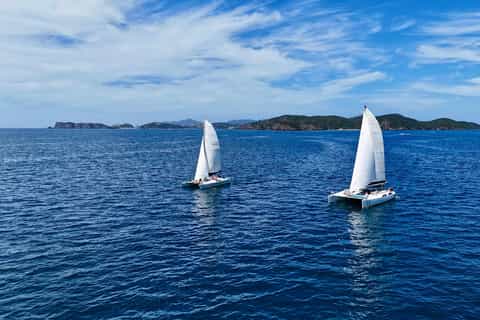 Full-Day Catamaran Sail to Wildlife Sanctuary Bay of Islands - Image 3