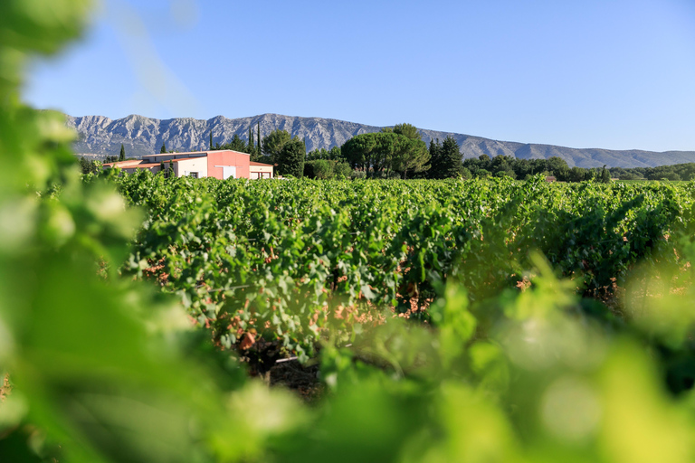 From Aix en Provence: Half-day Wine Tour in Provence Standard Option