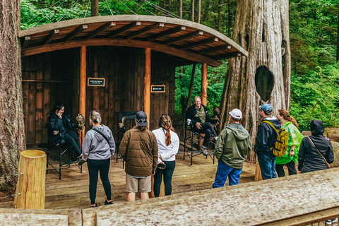 Visita di Vancouver e del Ponte Sospeso di Capilano: Mezza giornataTour di Natale: Luci del Canyon di Capilano