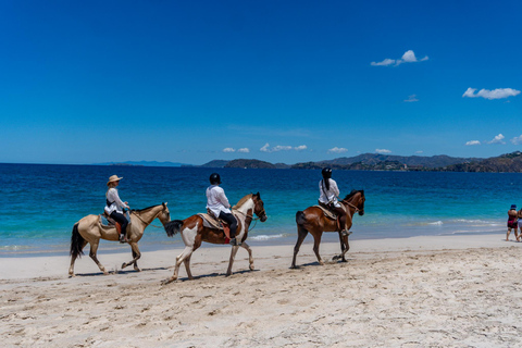 من برازيليتو: جولة ركوب الخيل على الشاطئ لمدة ساعة واحدة