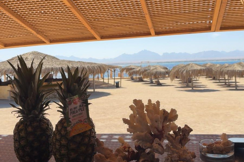 Hurghada: Private Speedboat to Magawish Island 8-hour Private Speedboat With Lunch