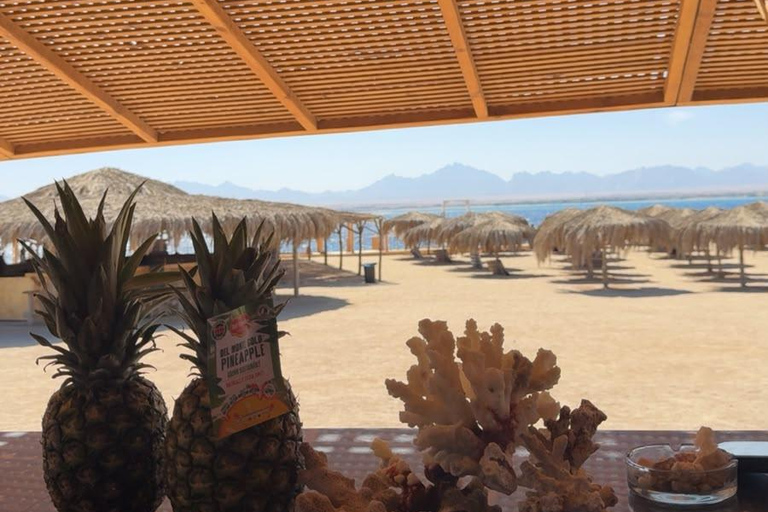 Hurghada: Private Speedboat to Magawish Island 8-hour Private Speedboat With Lunch