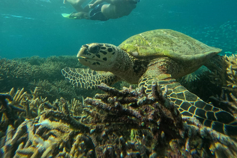 Lombok Private Snorkeling: Hidden Southwest 5 Gili Islands Lombok: Private Snorkeling Gili Asahan (5 Gilis) + Lunch