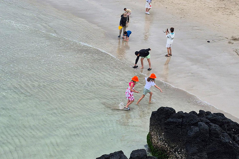 Jeju: UNESCO WestSouth & East Highlights 2 Days Combo Tour