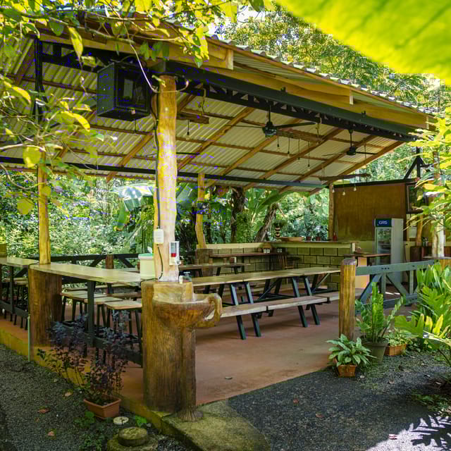 La Fortuna: Sloth Tour in Arenal Volcano Park & Local Snack | GetYourGuide