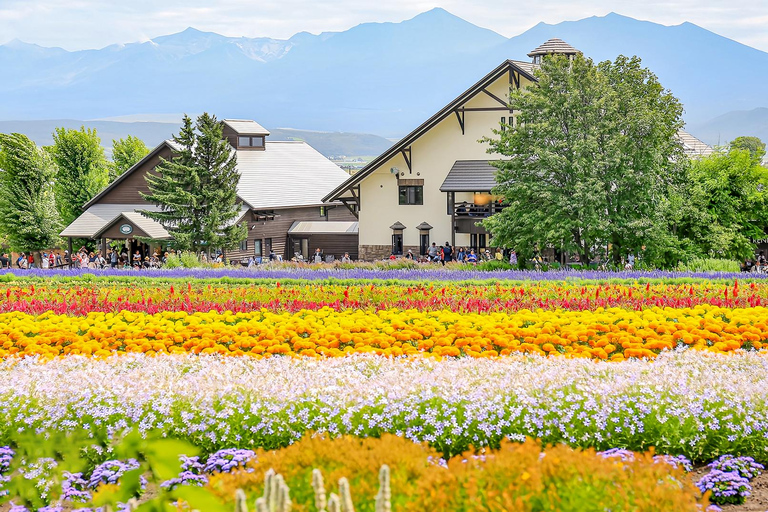 Hokkaido Summer Day Trip: Patchwork Road&Shikisai no Okas Depart from Sapporo Tokyu REI Hotel (without lunch)