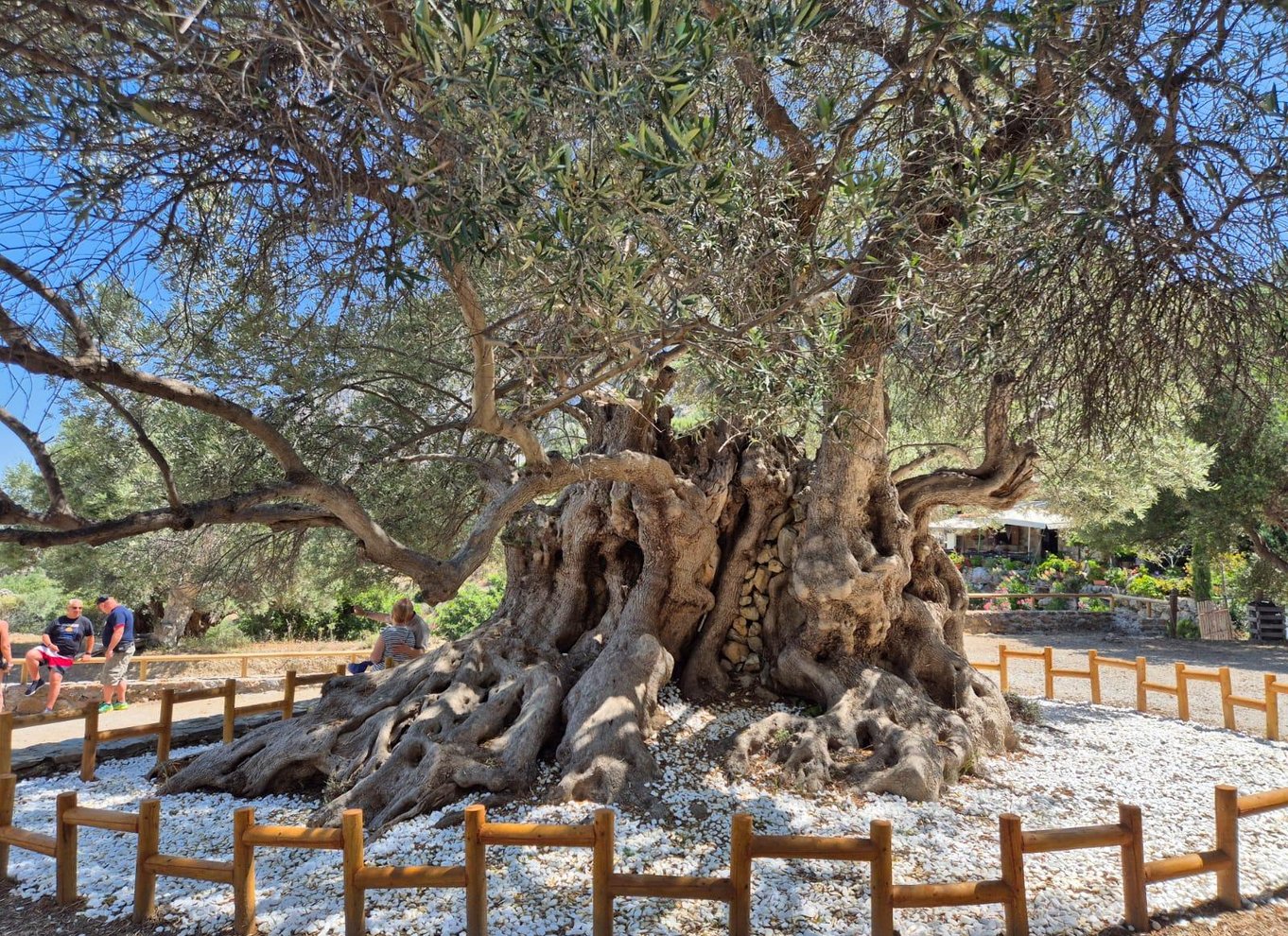 Østkreta: Tripti-bjergene og små landsbyer i åben Jeep.