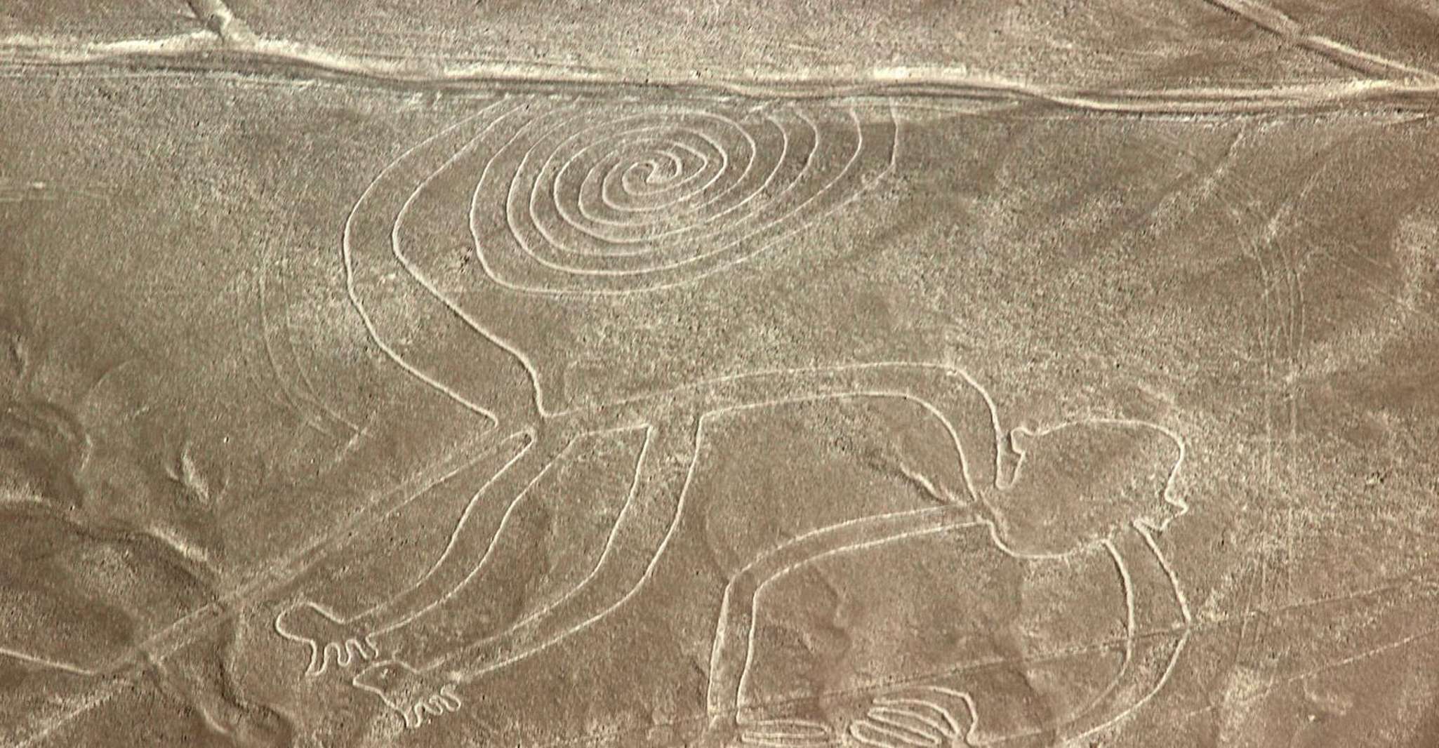 De Nazca, Voo em uma aeronave leve sobre as Linhas de Nazca - Hizvo