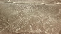 Von Nazca, Flug in einem leichten Flugzeug über die Nazca-Linien - Hizvo