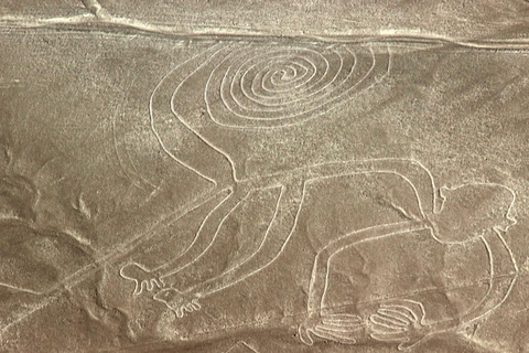 Da Nazca: Volo in aereo leggero sopra le Linee di NazcaDa Nazca: Volo in aereo sulle linee di Nazca