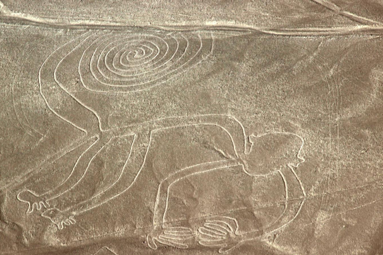 Da Nazca: Volo in aereo leggero sopra le Linee di NazcaDa Nazca: Volo in aereo sulle linee di Nazca