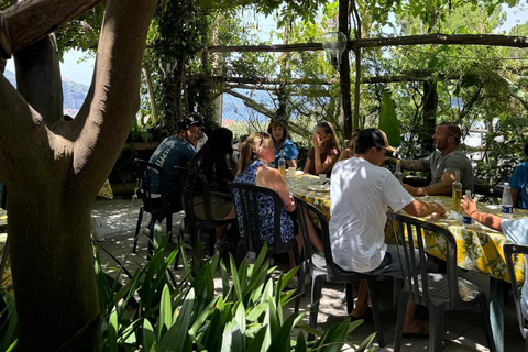 Sorrento: Walking Tour in Lemon Garden w/ Food Tasting